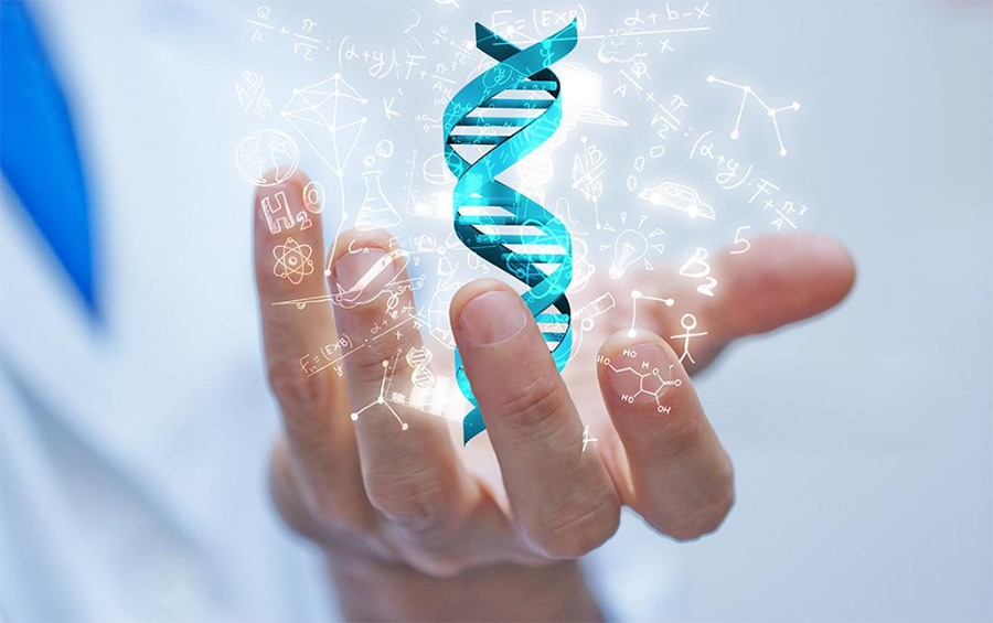滨州哪些医院能办理DNA鉴定,滨州医院做DNA亲子鉴定办理的条件