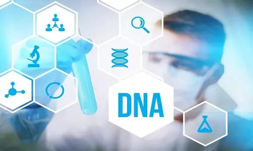 三沙可以做DNA鉴定吗,三沙做亲子鉴定手续和流程