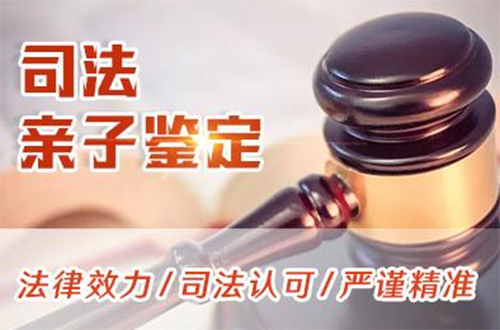 江苏省司法DNA亲子鉴定条件和材料,