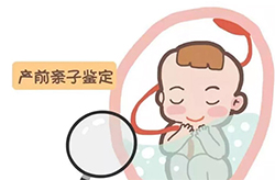 乌兰察布孕期鉴定正规机构去哪里做，乌兰察布孕期的亲子鉴定准确吗