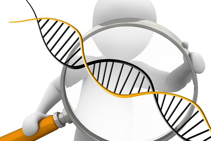 临沂DNA亲子鉴定哪家机构最好,临沂亲子鉴定流程是什么